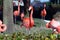 Pink Flamingo Birds