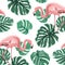 Pink flamingo birds green monstera leaves pattern