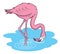 Pink flamingo cartoon illustration