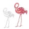 Pink flamingo. Coloring book page. Vector illustration