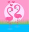 Pink flamingo couple