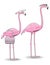 Pink Flamingo Couple