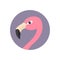 Pink flamingo head face with long neck. Round circle icon. Exotic tropical bird. Zoo animal collection. Cute cartoon character. De