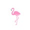 Pink flamingo. Logo