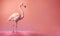 Pink flamingo on pink background. feminine, tropical, summer background. Ai generative