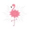 Pink flamingo. Pink flower body. Shining effect. Exotic tropical bird. Zoo animal collection. Cute cartoon character. Decoration e