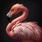 Pink flamingo portrait in studio, ultra realistic image, Generative Ai