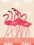 Pink Flamingo on the sea , flock of birds . Cartoon vector illustration, poster, art print .