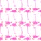 Pink flamingo. Seamless pattern with exotic birds. Hand-drawn original animal background.