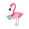 Pink Flamingo Smiling Bookworm Zoo Character Wearing Glasses And Reading A Book Cartoon Illustration Part Of Animals In