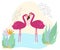 Pink flamingo stand in pond, lake, wildlife, african nature, isolated on white, flat vector illustration. Lovely big