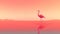Pink Flamingo Standing In A Lake - Minimalist Gradient Background