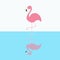 Pink flamingo standing on one leg. Circles on the water shadow. Exotic tropical bird. Zoo animal collection. Cute cartoon characte