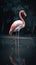 A pink flamingo stands in the water. Close-up. Generative AI