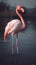 A pink flamingo stands in the water. Close-up. Generative AI