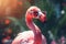 Pink flamingo sunglasses. Generate Ai