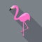 Pink flamingo vector in flat design website icon style with long shadows