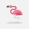 Pink Flamingo vector illustration, isolated on white background