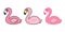 Pink flamingo vector set Cartoon Cute flamingos collection character animal exotic nature wild fauna illustration