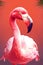 Pink flamingo wearing summer sunglasses. Summer background AI generated