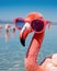 Pink flamingo wearing sunglasses on the beach, ai generated