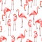 Pink flamingo, white background. Floral seamless pattern. Tropical illustration.