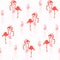 Pink flamingo, white background. Floral seamless pattern. Tropical illustration. Exotic  birds.