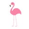 Pink flamingo with wing. Exotic tropical bird. Zoo animal collection. Cute cartoon character. Decoration element. Flat design. Whi