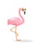 Pink flamingo in yellow sunglasses  isolated on white. Clipping path included