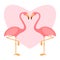 Pink flamingoes pair, love illustration, two loving birds, vector