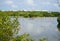 Pink flamingos and american brown pelicans in a natural habitat. Cayo Santa Maria, Cuba