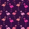Pink flamingos birds seamess pattern
