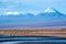 Pink flamingos are front of Volcanoes Licancabur