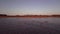 Pink flamingos in the lake. A flock of pink flamingos against the backdrop of a beautiful landscape. Wildlife video