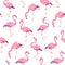 Pink flamingos pattern. Cute tropical birds, seamless flamingo hawaii texture bird repeat print decor wallpaper