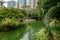 Pink flamingos in the public park of Hong Kong