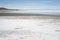 Pink Flamingos In Salty Shallow Lagoon, Salar De Uyuni, Bolivia