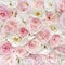 Pink floral background. A delicate romantic background for creating invitations, postcards, posts in social media. Wedding