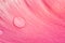 Pink floral background with drops of water