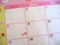 Pink Floral Calendar