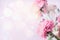 Pink floral pastel border with bokeh background and buttercup