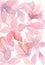 Pink floral pattern on white background