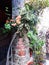 Pink floral vines wrapped around brick column in san miguel allende