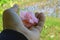 Pink flower blossom in hand closeup, on fresh green paddy field background