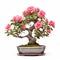 Pink Flower Bonsai Tree In Silver Pot - Erik Jones Style