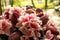 Pink flower Bouquet Azalea and strawberries with cookies in a vase