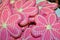 Pink flower cookies