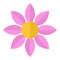 Pink Flower Flat Icon Isolated on White