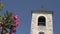 Pink flower in front of church tower in Theologos, Thassos, Greece