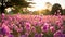 Pink Flower Garden And Sunrise: Nikon D850, Mingei, Leica M10